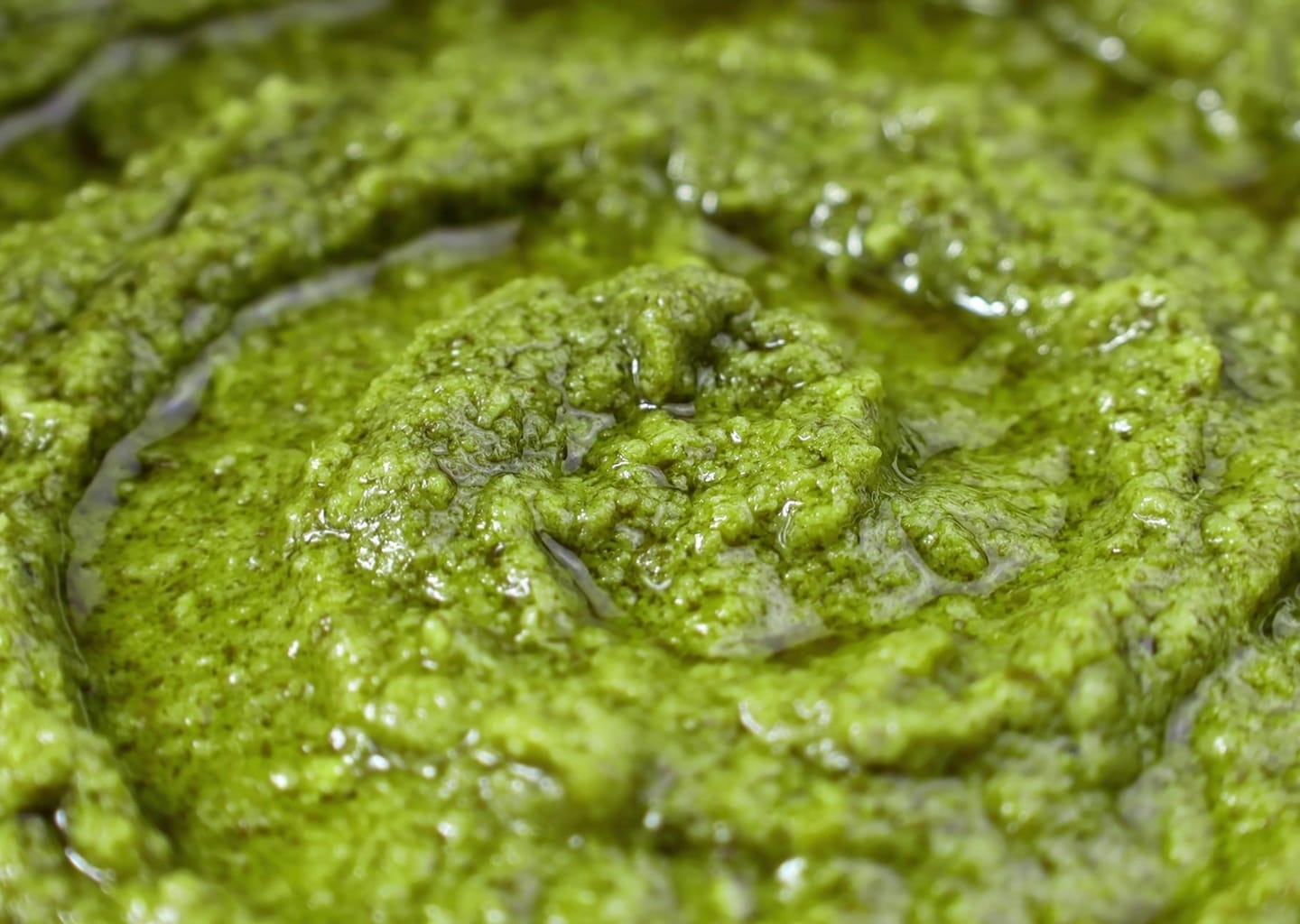 Wild Garlic Pesto