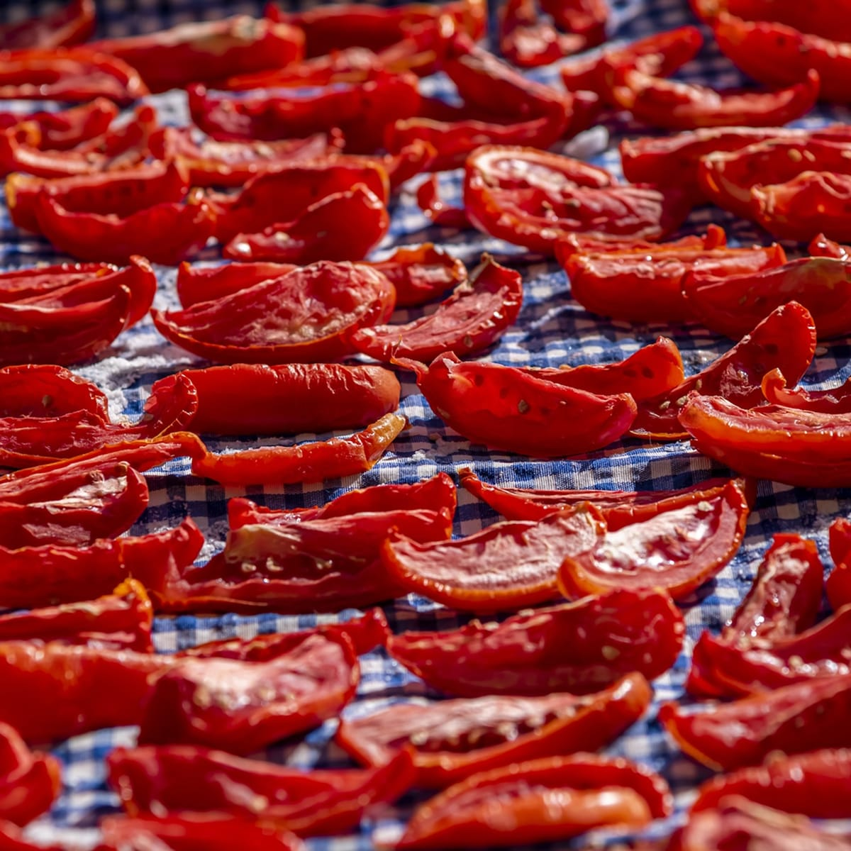 The essence of the Mediterranean summer