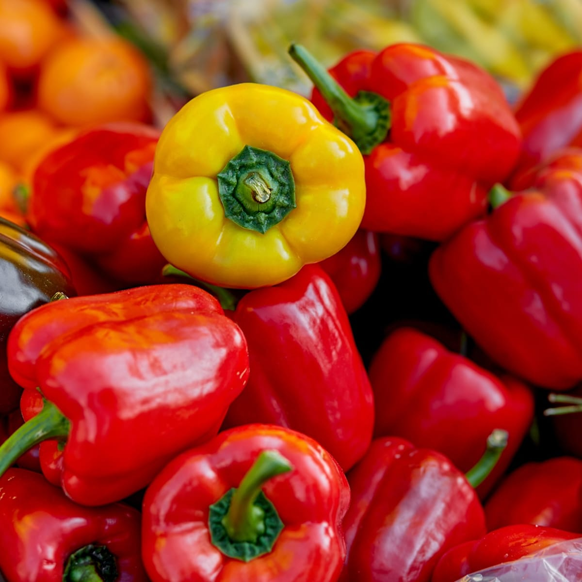 Ignite your culinary passion